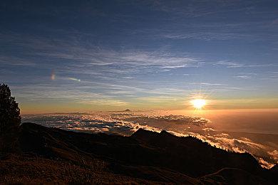 国产文字冒险游戏《妖闻录》Steam页面上线 2023年Q1发售